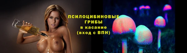 прущие крисы Горнозаводск