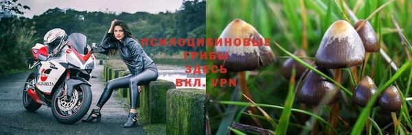 меф Горно-Алтайск