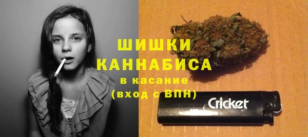 прущие крисы Горнозаводск